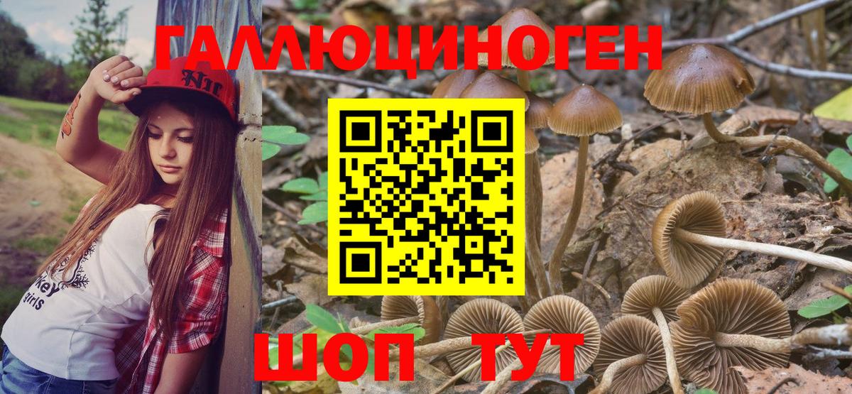 Псилоцибиновые грибы ЛСД Мытищи