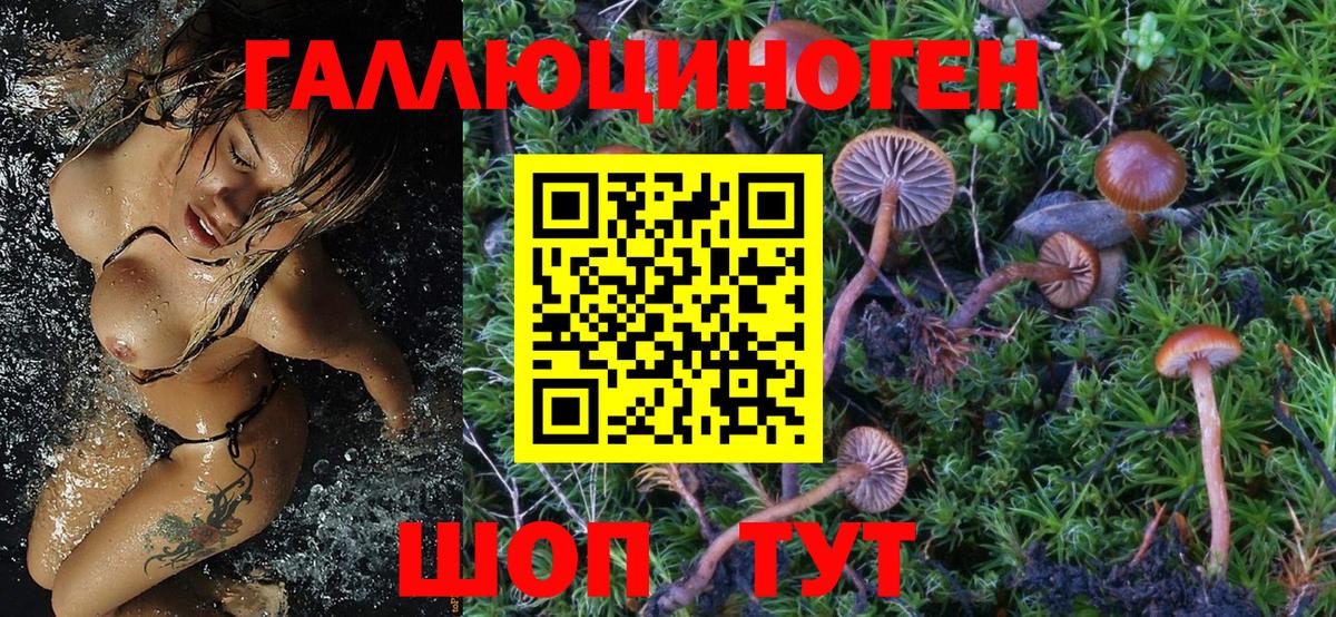 Галлюциногенные грибы ЛСД  Псилоцибиновые грибы мухоморы  Мытищи  Вход с VPN 